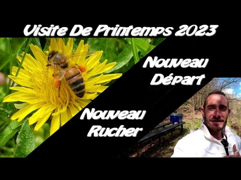 Nouveau Départ, Nouveau Rucher, Visite De Printemps 2023