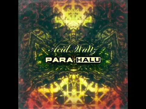 Para Halu - Dream Machine [psy-trance]