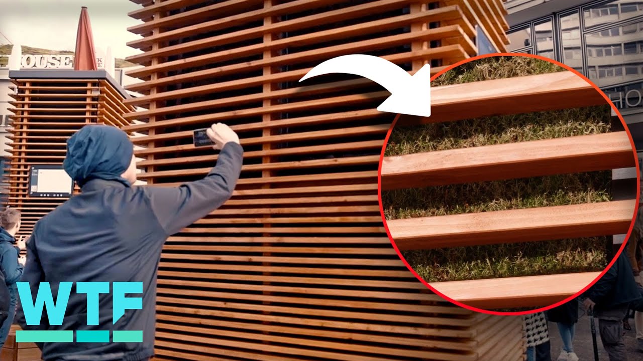 The CityTree uses MOSS to purify and cool air in cities 🌳