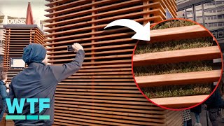 The CityTree uses MOSS to purify and cool air in cities 🌳