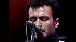The Stranglers - The European Female