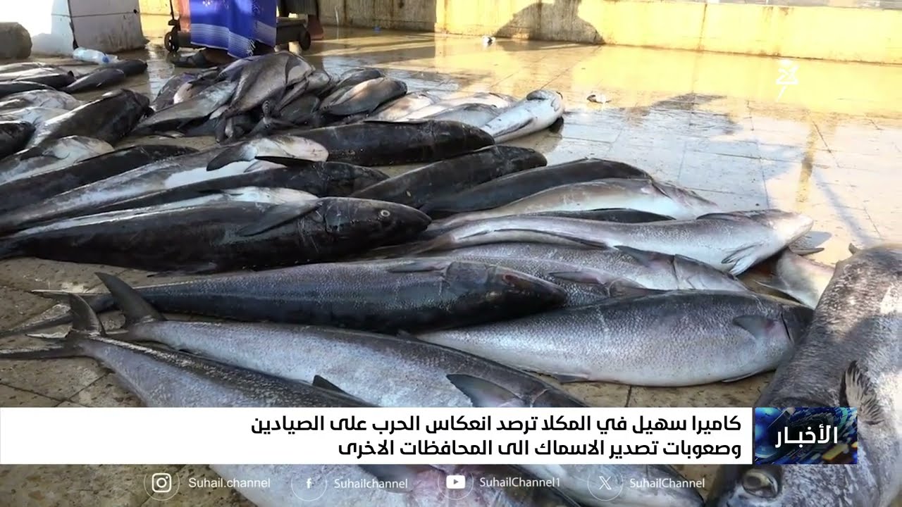 كاميرا سهيل ترصد انعكاس الحرب على الصيادين في المكلا