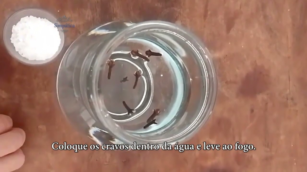 Banho de Cravo da Índia e Sal Grosso