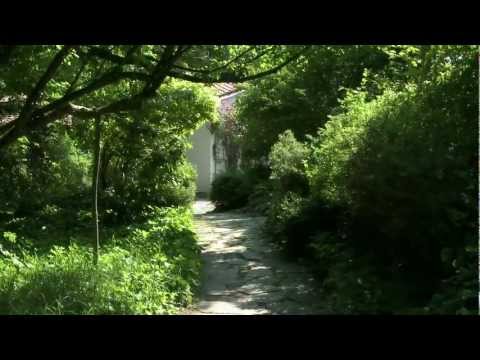 ZIST - MENSCHLICHES POTENTIAL ENTFALTEN (Kurzversion)