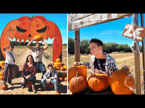 ¿Dónde ir con NIÑOS en HALLOWEEN 2024? ¡El Mejor Laberinto de MAIZ para Halloween 2024!