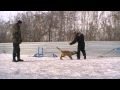 пацаны-пацанчики 