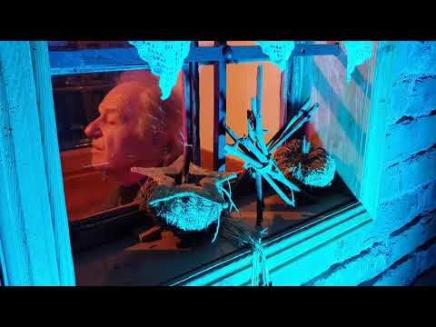 Alfi po Sloveniji (občina Kungota)