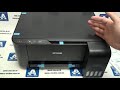 Многофункциональное устройство EPSON L3100 (C11CG88401)