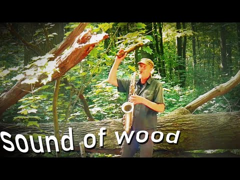 THE SOUND OF WOOD - Armin Küpper: Saxophone with a natural drum kit !!!