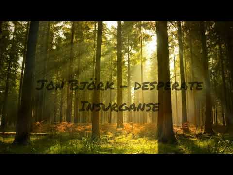 Jon Bjork - desperate Insurganse