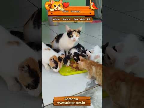 Vídeo de Sem nomes 