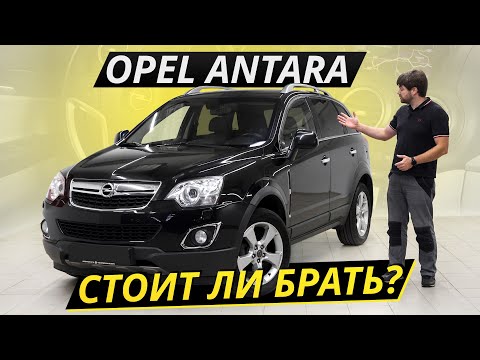 Antara – Opel без французских корней, но с корейскими отсылками | Подержанные автомобили