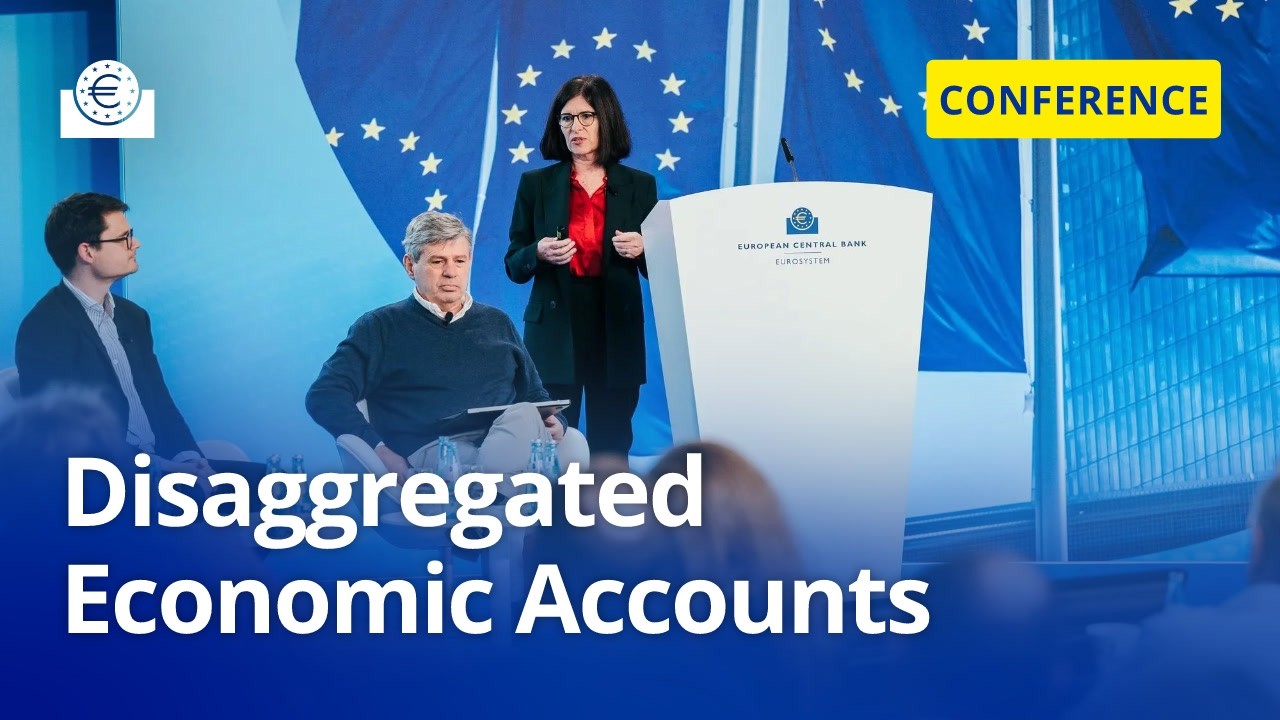 Disaggregated Economic Accounts