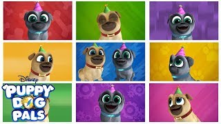 Bingo and Rolly's Birthday Music Video | Puppy Dog Pals| Disney Junior