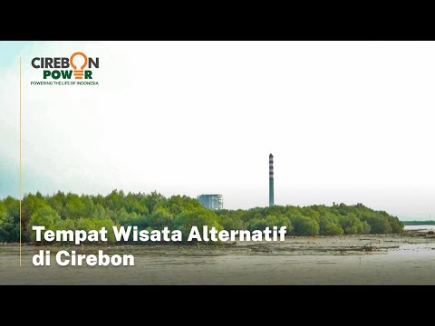 Ekowisata Mangrove Pangarengan Cirebon, Lihat dari Dekat