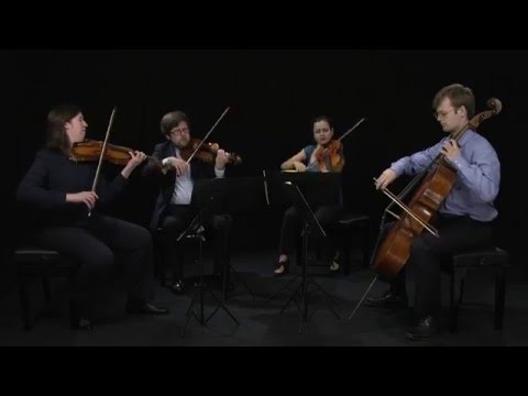 Schubert: Quartettsatz D703 - Castalian String Quartet