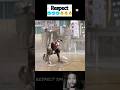 Respect Hd Video Shorts