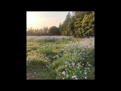 [FREE] h jeunecrack + realo + luther type beat - "tentacion" (p. 6min)