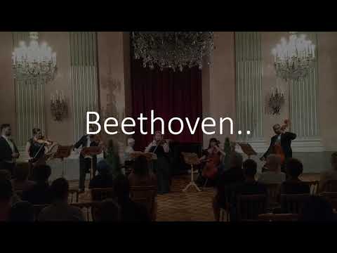 Wiener Klassik Konzerte