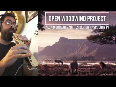 Circle of Life - ALSA Modular Synth