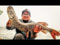 Video Thumbnail for My PB  Northern pike | Blackstrap Reservoir