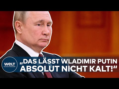 GIGANT NATO: "Das lässt Wladimir Putin absolut nicht kalt!" | WELT Analyse