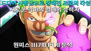 [ 원피스1117화 Full 분석 ] 드디어 사황급의 각성을 시작하는 조로 , 새로운 악마의 열매의 능력자, 방송을 저지당하는 베가펑크