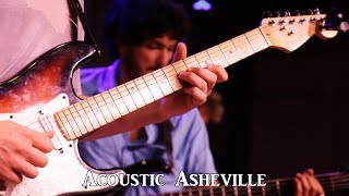 Random Animals - Light of the Moon | Acoustic Asheville
