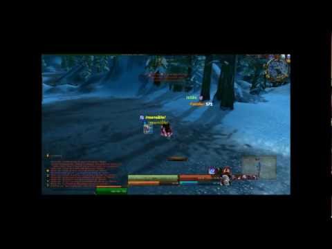 ZeHunter : A new Hunter PvP CustomClass for HonorBuddy