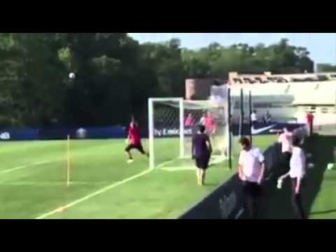 Zlatan Ibrahimovic vs Kevin Trapp