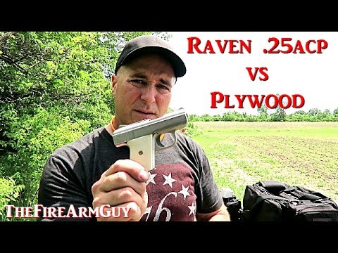 Phoenix Raven .25acp vs 3 Sheets of Plywood - TheFireArmGuy