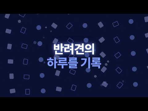 포로그 - 강아지 산책·건강·펫플레이스 video thumbnail