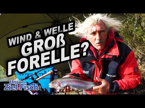 WILL THE BIG ONE BITE? TARGET FISH: 8 KG TROUT - Our goal is fish - Fishing school with Jörg Ovens