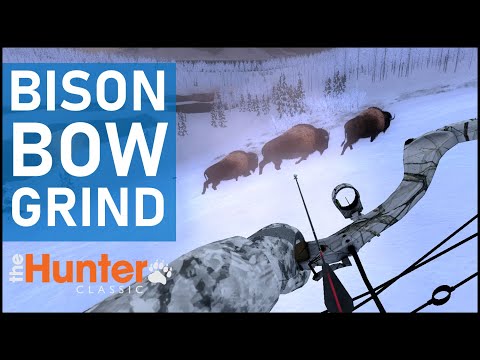 Bison Grind - 1 Kill Every 2 Minutes - theHunter Classic