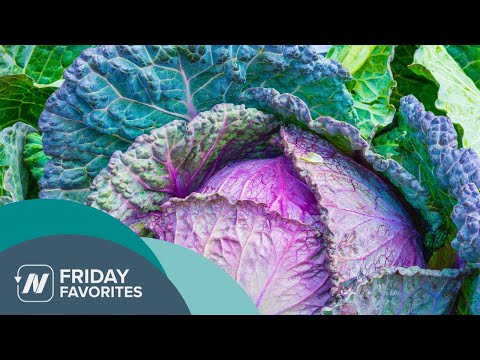 Friday Favorites: Benefits of Cabbage Leaves on the Knee for Osteoarthritis