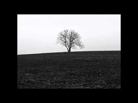 Aetherian - Whispers in the Wind