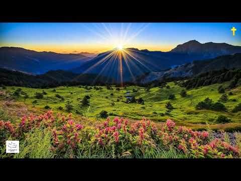 PRAISE by Maranatha's Kids Praise