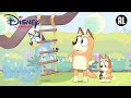 Bluey | De Hindernisbaan | Disney Channel NL