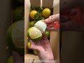 Good Simple Plastic Tool Peeling Oranges Easily !