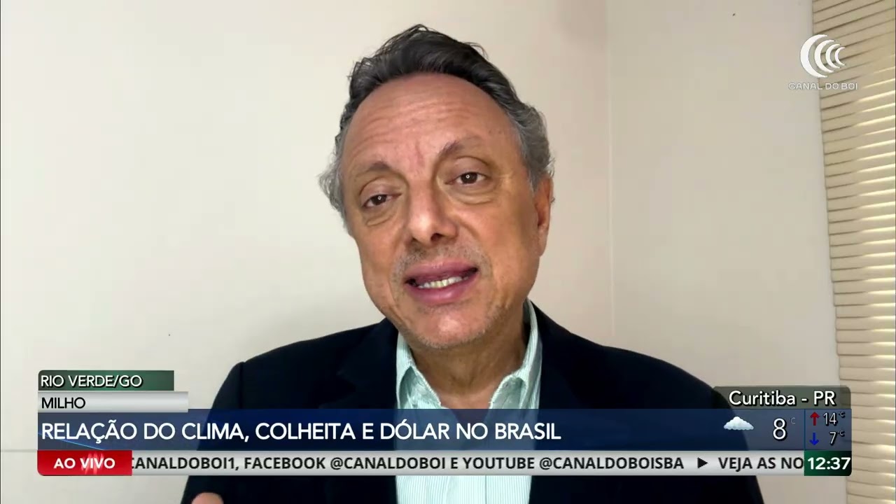Mercado da soja impulsionado pelo dólar em alta