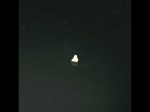 YouTube 썸네일