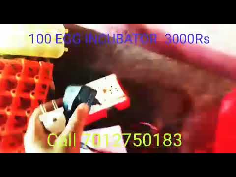 80 egg capacity semi automatic incubator