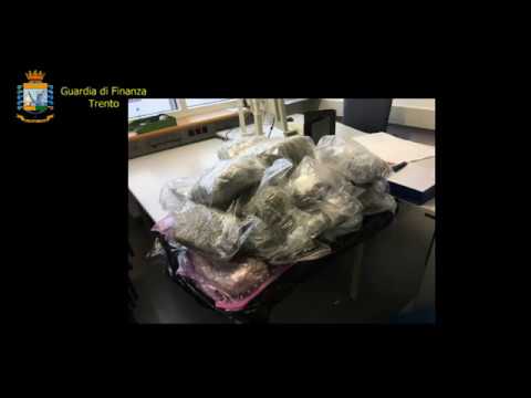 Ora News - Lum droge në Europë, arrestohen shqiptarët në Itali, Gjermani e Shqipëri