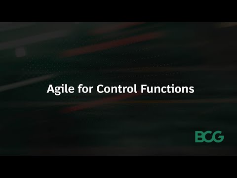 Agile for Control Functions