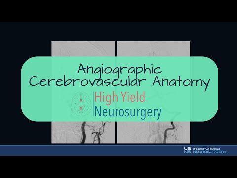 Angiographic Cerebrovascular Anatomy