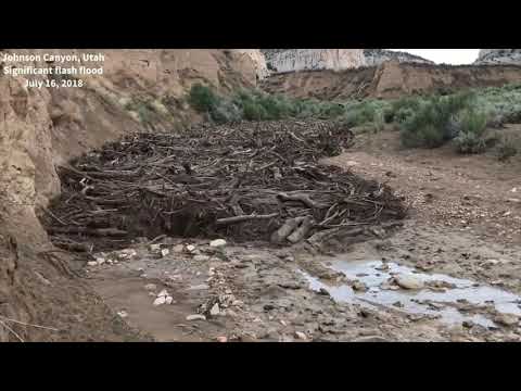 Mudflow demolishes everything in its path