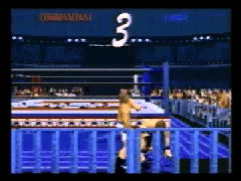 Power Move Pro Wrestling Playstation