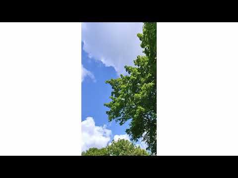 Kaisaku - I'll Change, Just Wait and See