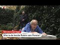 Epke, Youp of Geraldine Kemper, wie is de beste Robin van Persie? | NOS Sport