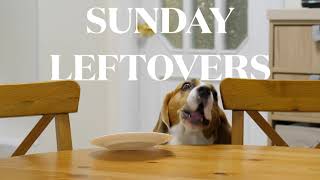 Sunday Leftovers: I Will Lead My Family To Be Healthy Church Members
